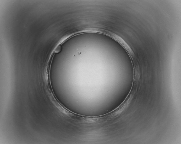X0000112890908200908211028