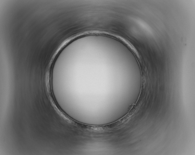 X0000112890911200908211028