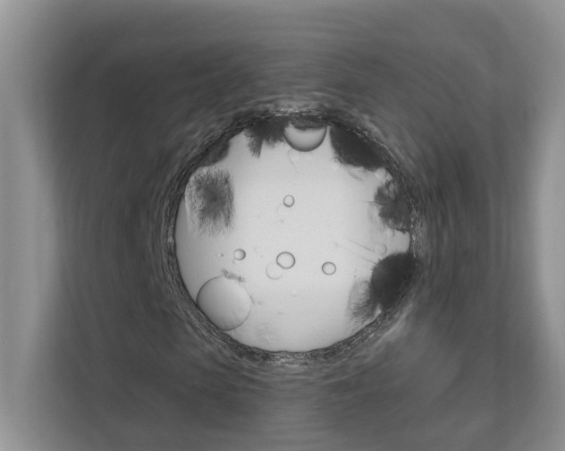 X0000112890913200908211027