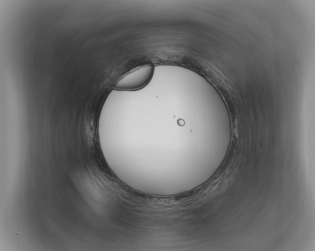 X0000112890915200908211027