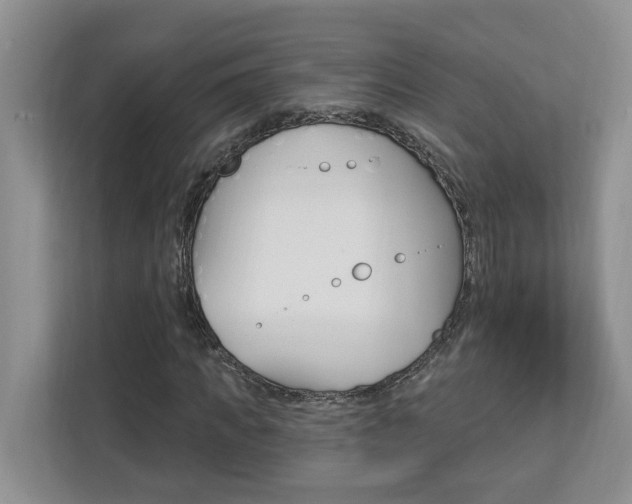 X0000112890917200908211027