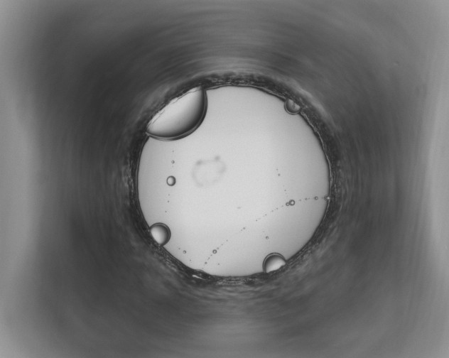 X0000112890918200908211027