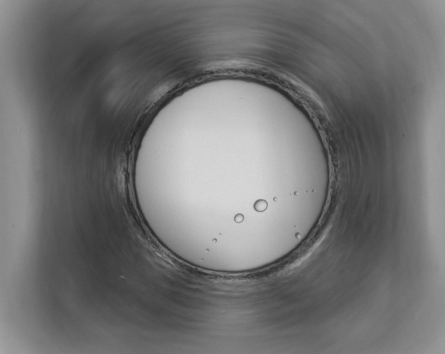 X0000112890921200908211027
