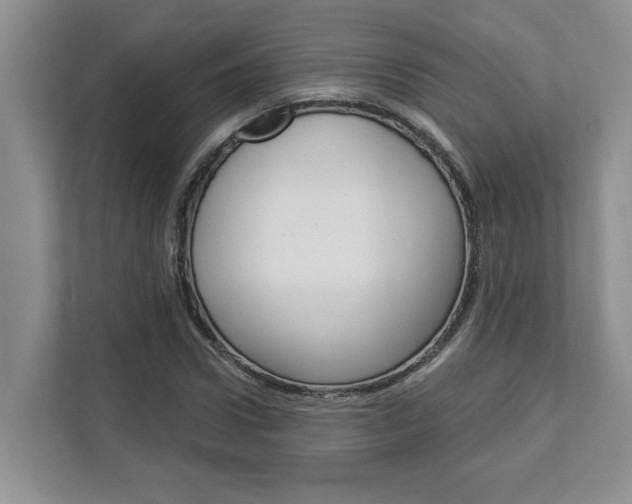 X0000112890922200908211027