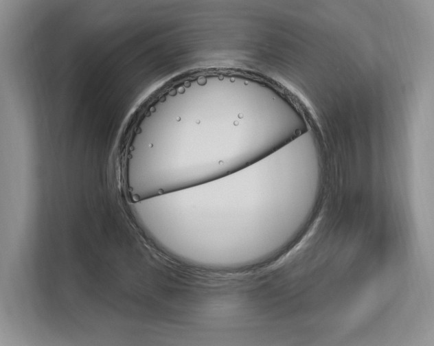 X0000112890925200908211027