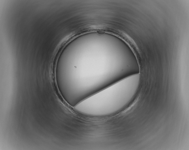 X0000112890930200908211027