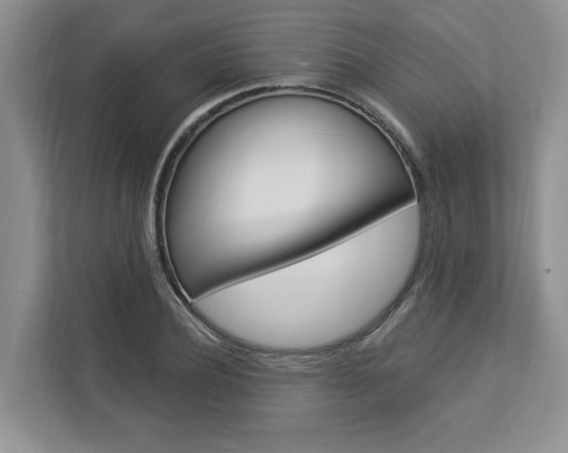 X0000112890932200908211027
