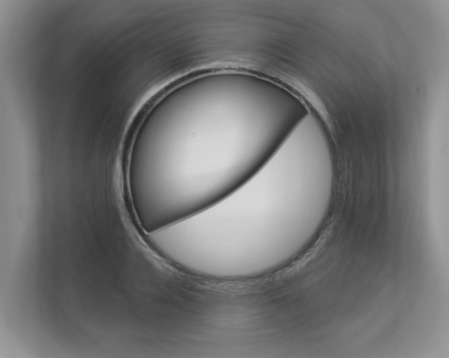X0000112890936200908211027