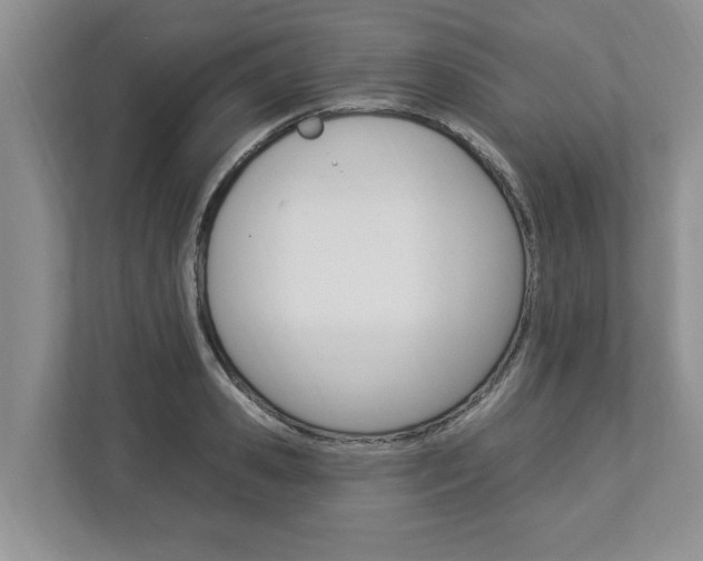 X0000112890941200908211027