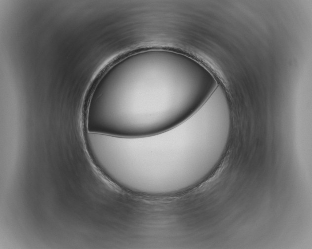 X0000112890942200908211027