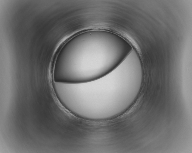 X0000112890944200908211027