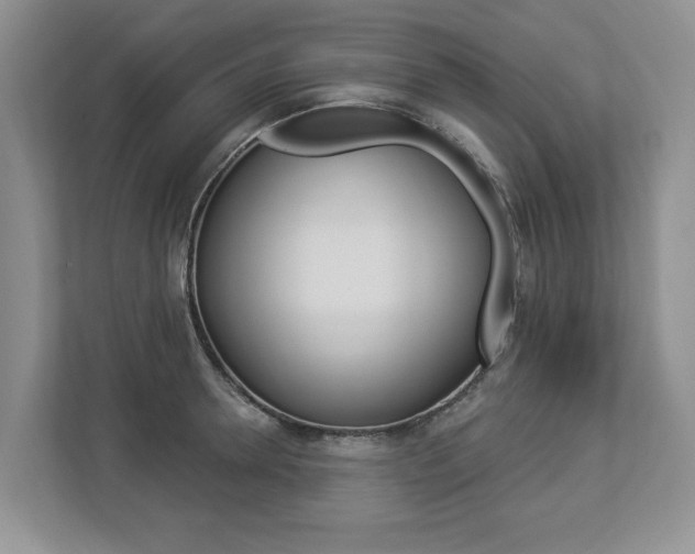 X0000112890946200908211027