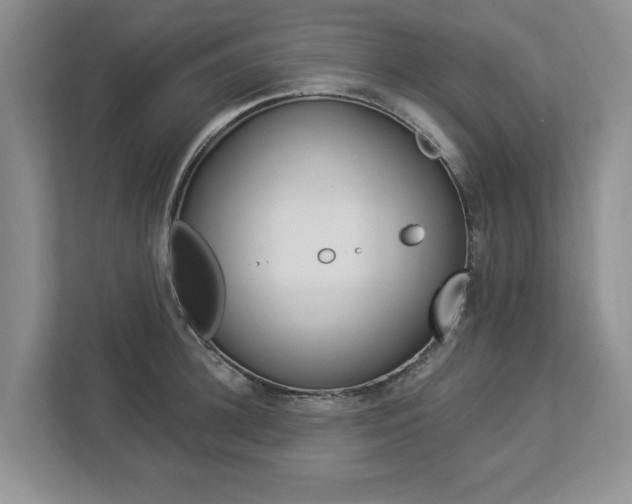 X0000112890948200908211027