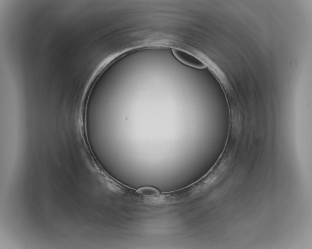 X0000112890956200908211027