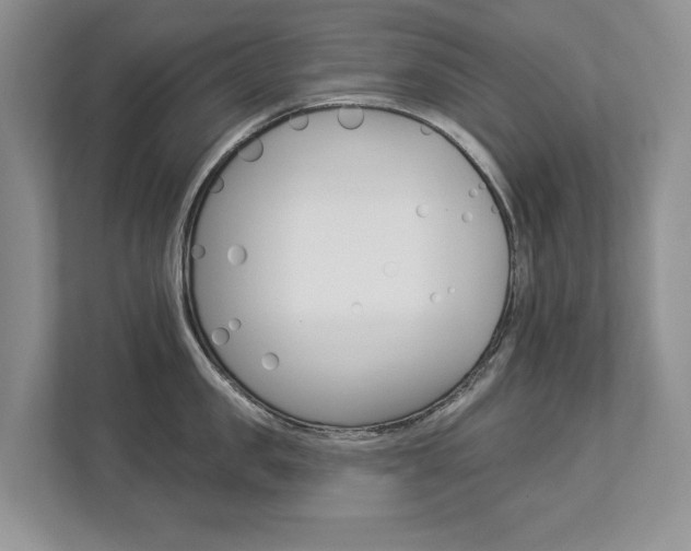 X0000112890957200908211027
