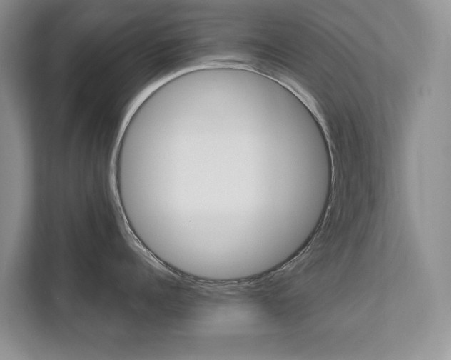 X0000112890960200908211028