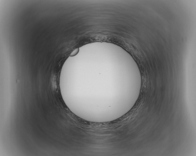 X0000112890962200908211027