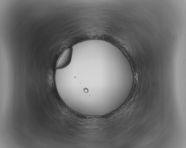 X0000112890963200908211027