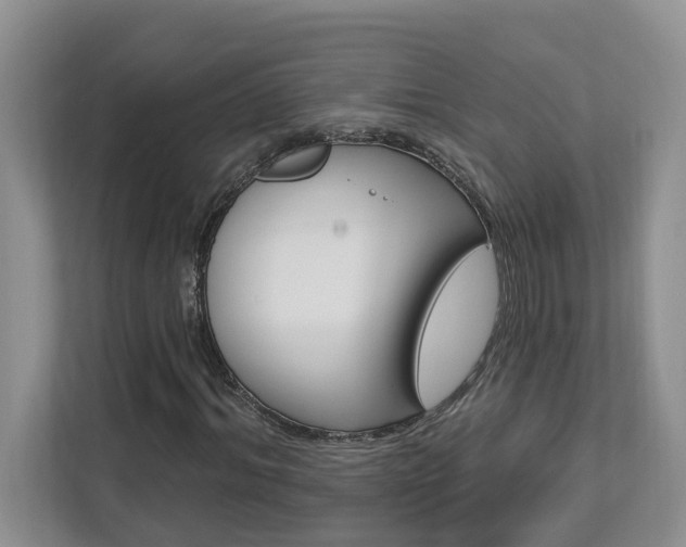 X0000112890964200908211027