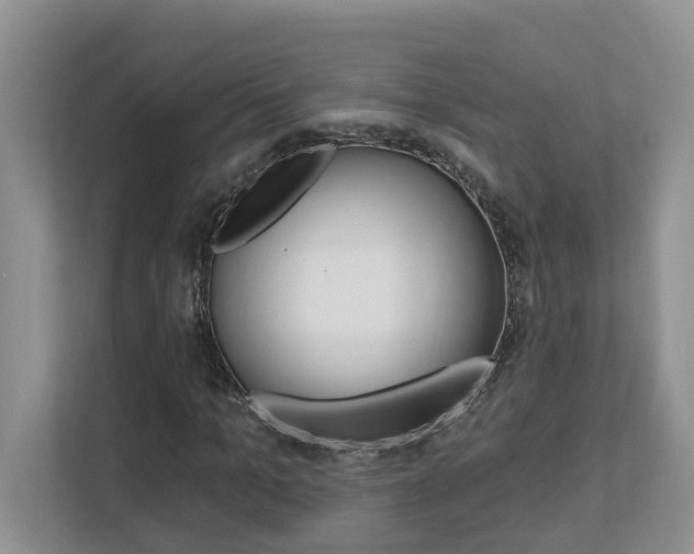 X0000112890965200908211027
