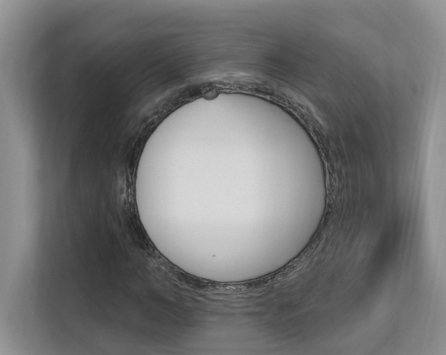 X0000112890966200908211027