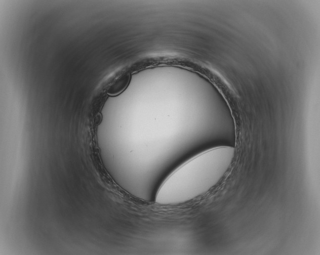 X0000112890967200908211027