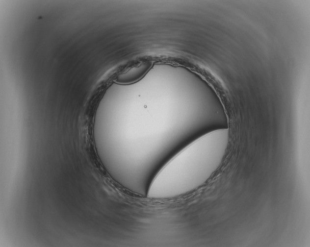 X0000112890968200908211027
