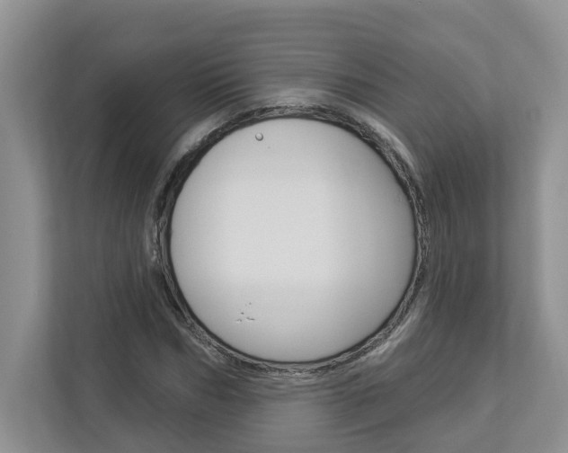 X0000112890970200908211027