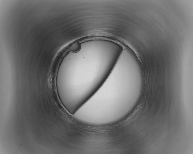 X0000112890971200908211027