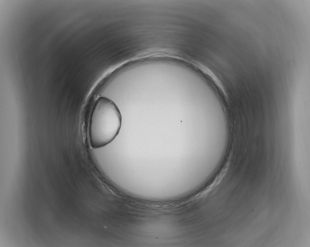 X0000112890973200908211027