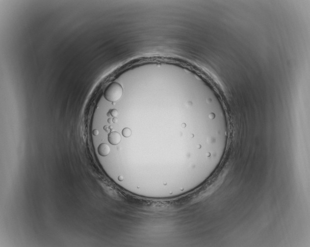 X0000112890974200908211027