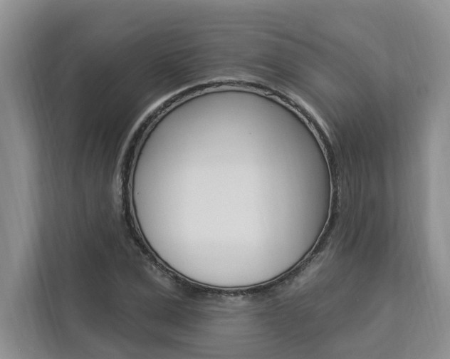 X0000112890975200908211027
