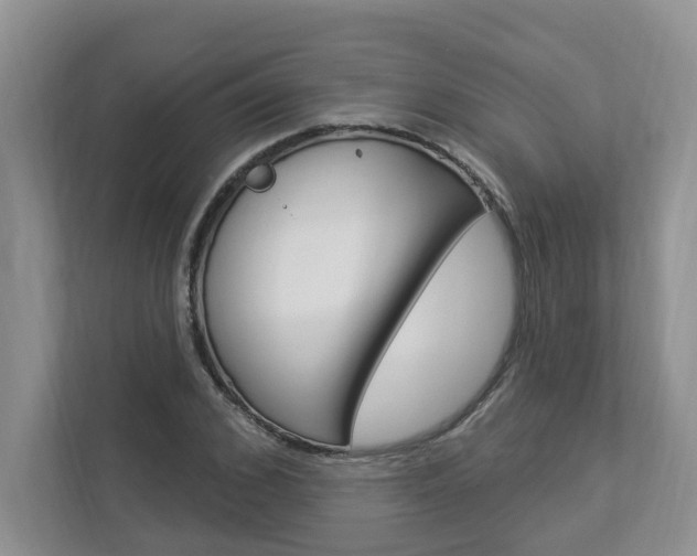 X0000112890976200908211027