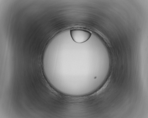 X0000112890977200908211027