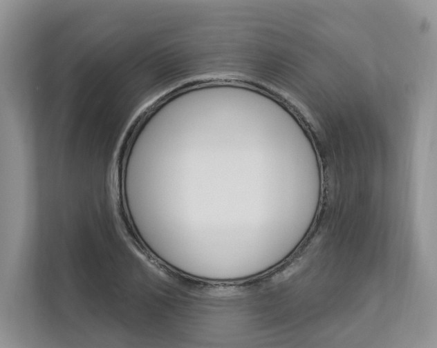 X0000112890982200908211027