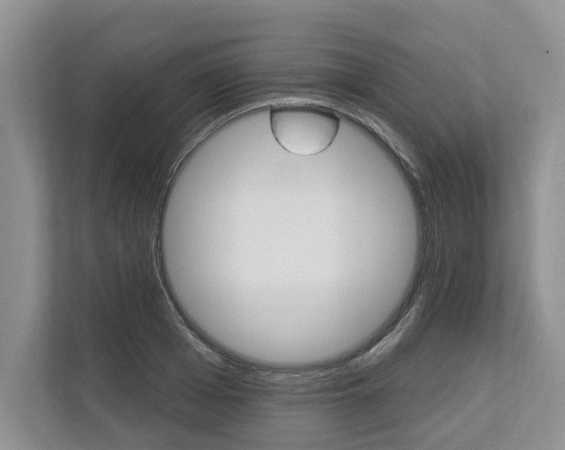 X0000112890985200908211027
