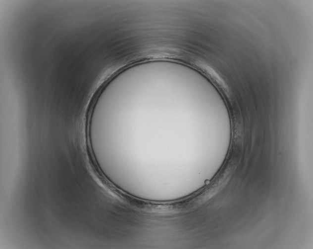 X0000112890986200908211027