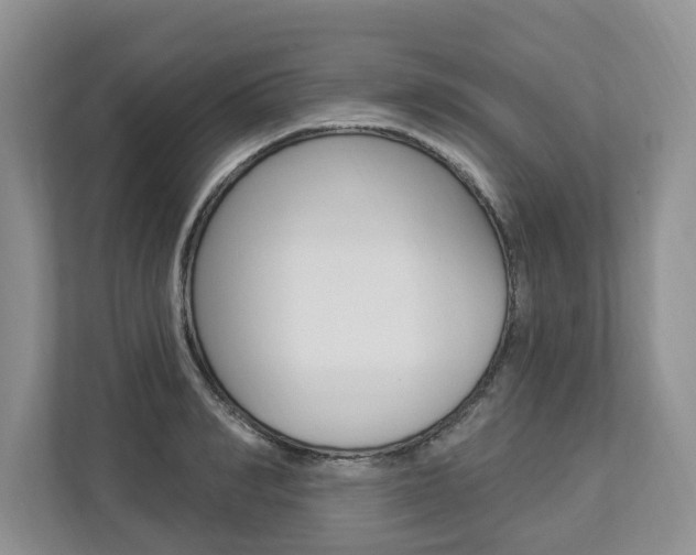 X0000112890990200908211027