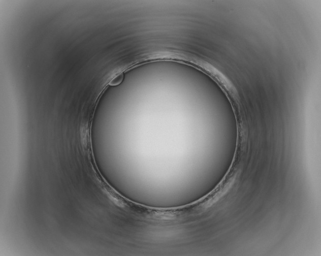 X0000112890993200908211026