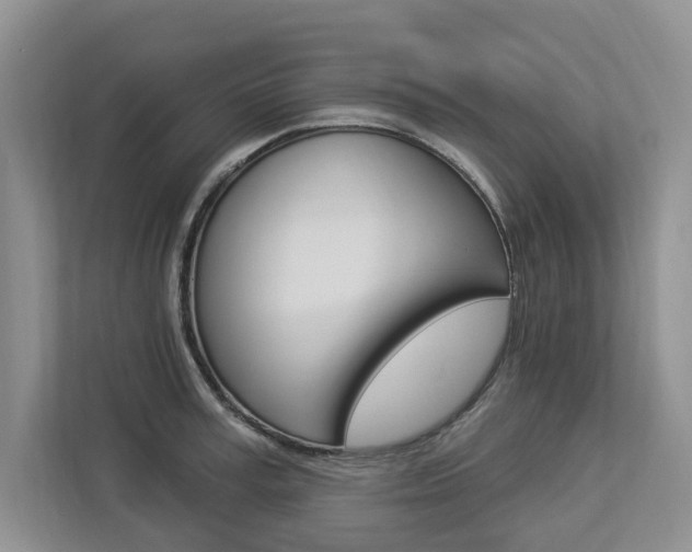 X0000112890995200908211026