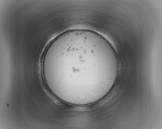 X0000112890998200908211026
