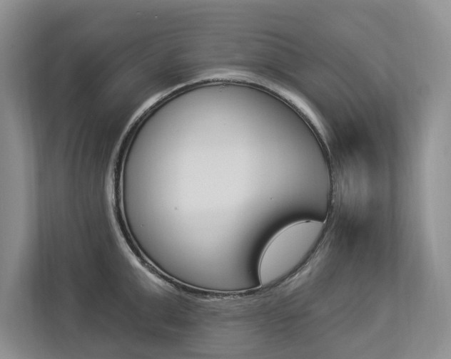 X0000112890999200908211026