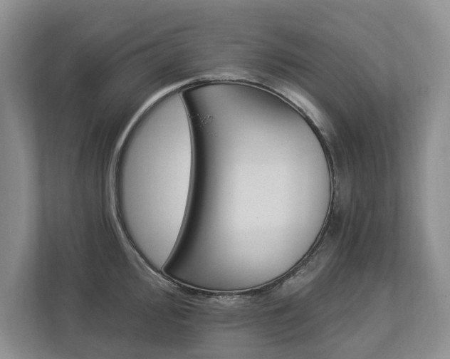 X0000112891000200908211026