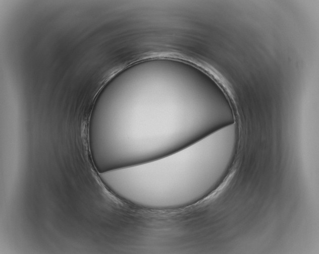 X0000112891001200908211026