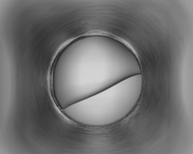 X0000112891003200908211026