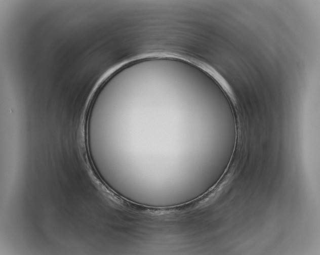 X0000112891004200908211026