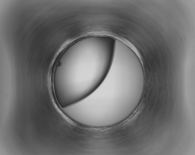 X0000112891005200908211026