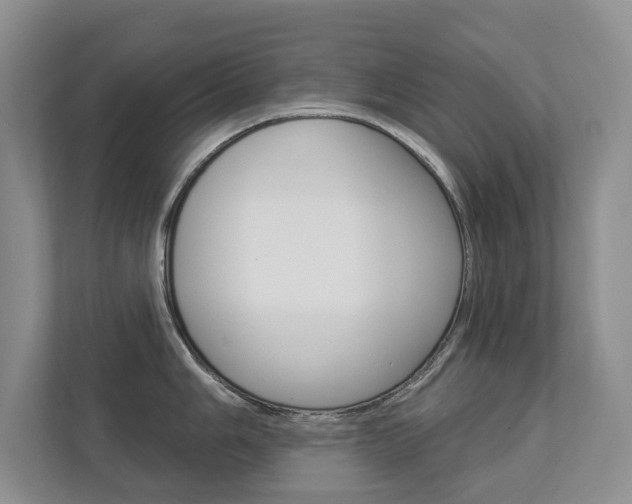 X0000112891006200908211026