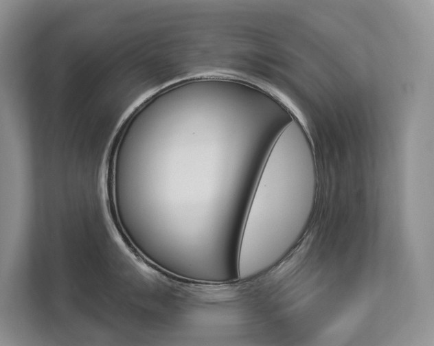 X0000112891007200908211026