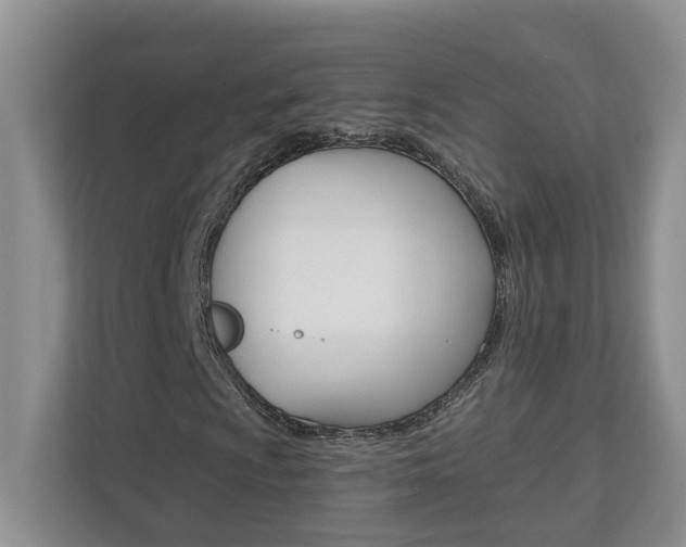 X0000112891009200908211026